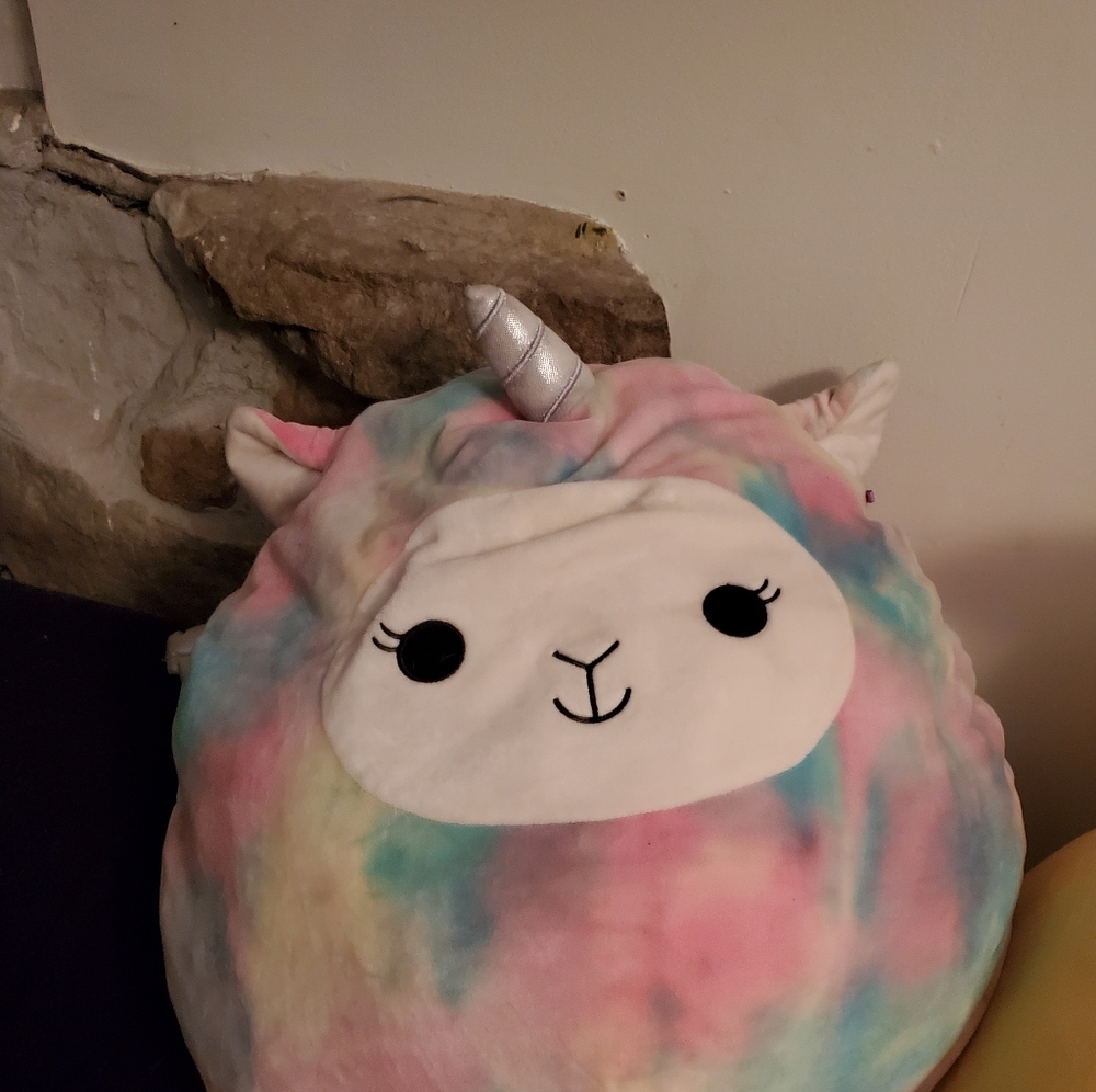 Large squishmallows - Picture 4 of 4